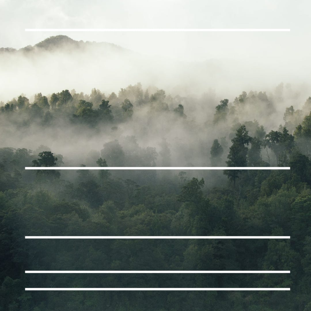 Trees may be green—but paper isn't