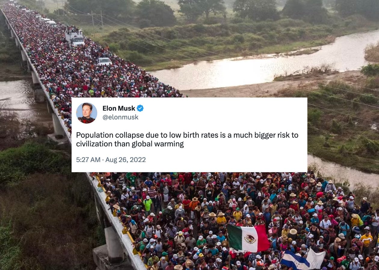 The Elite Are Panic-Breeding White Babies