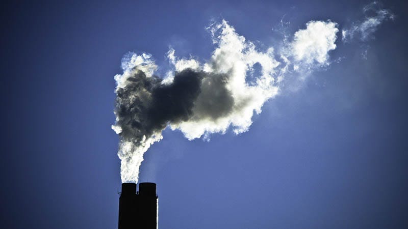 The Real Story of COP27 post image